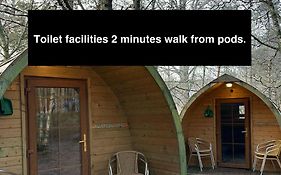 Pine Marten Bar Glenmore Pods